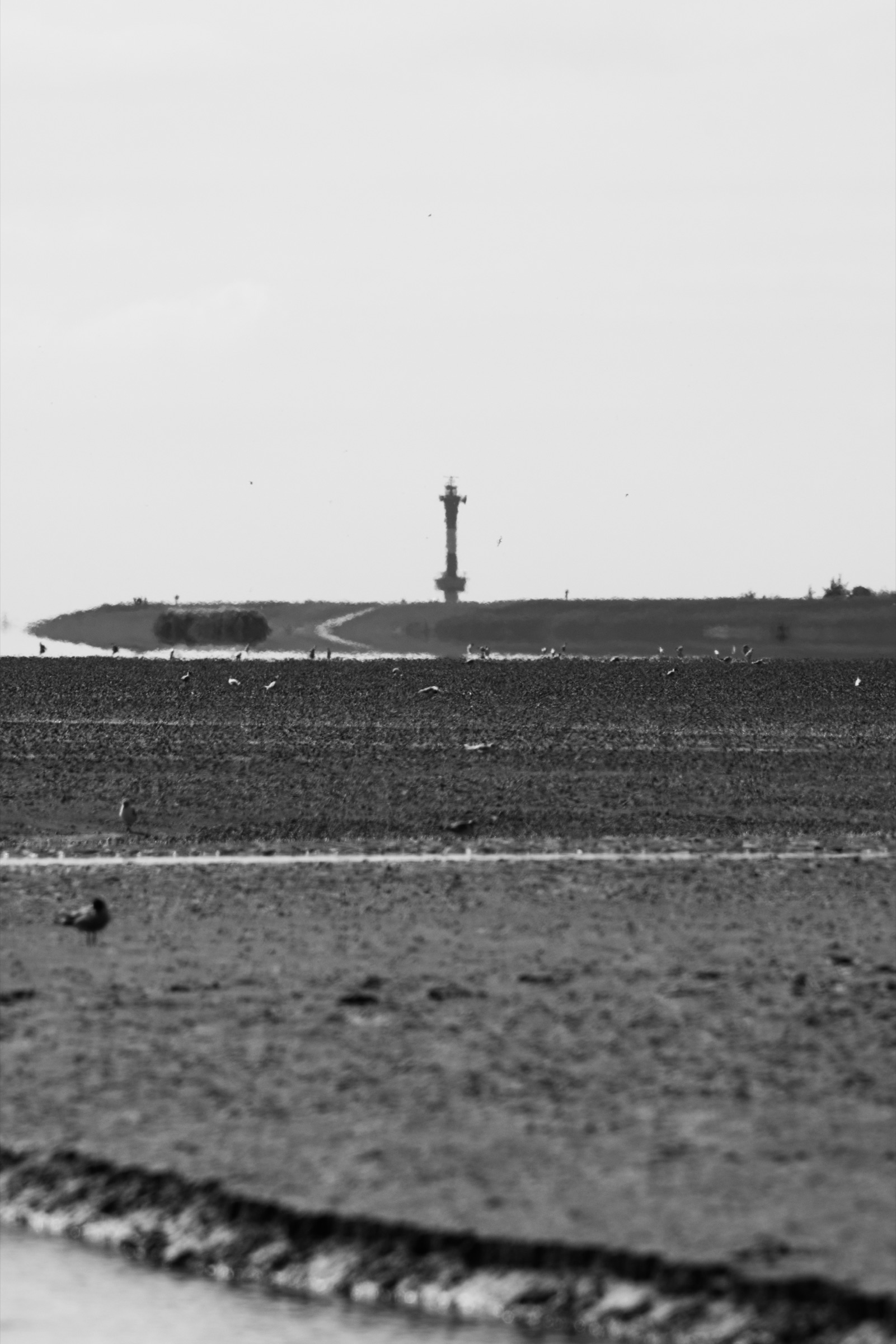 Fotografie
